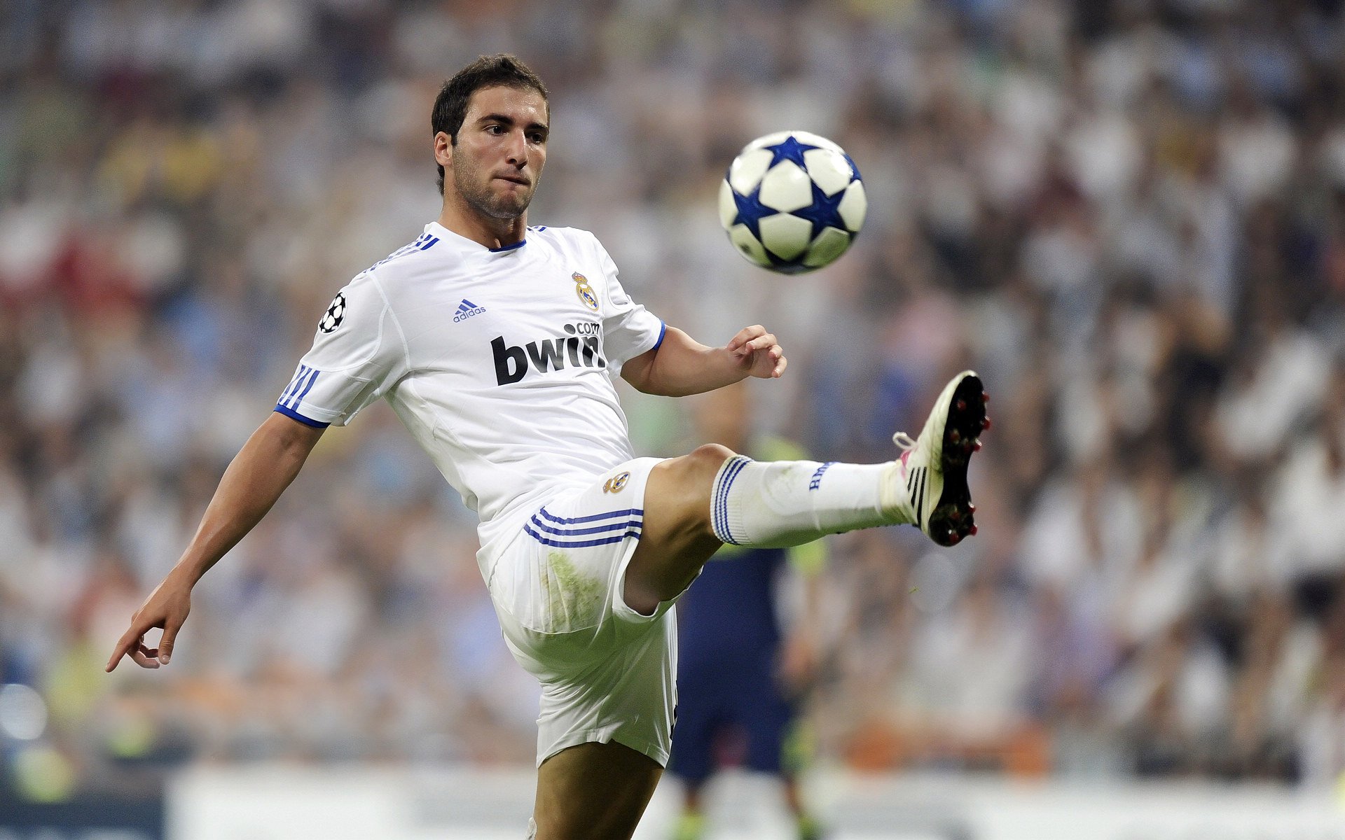 德约科维奇迎来十二赛季出色发挥,巴塞罗那观众热烈欢呼!赢得满堂喝彩