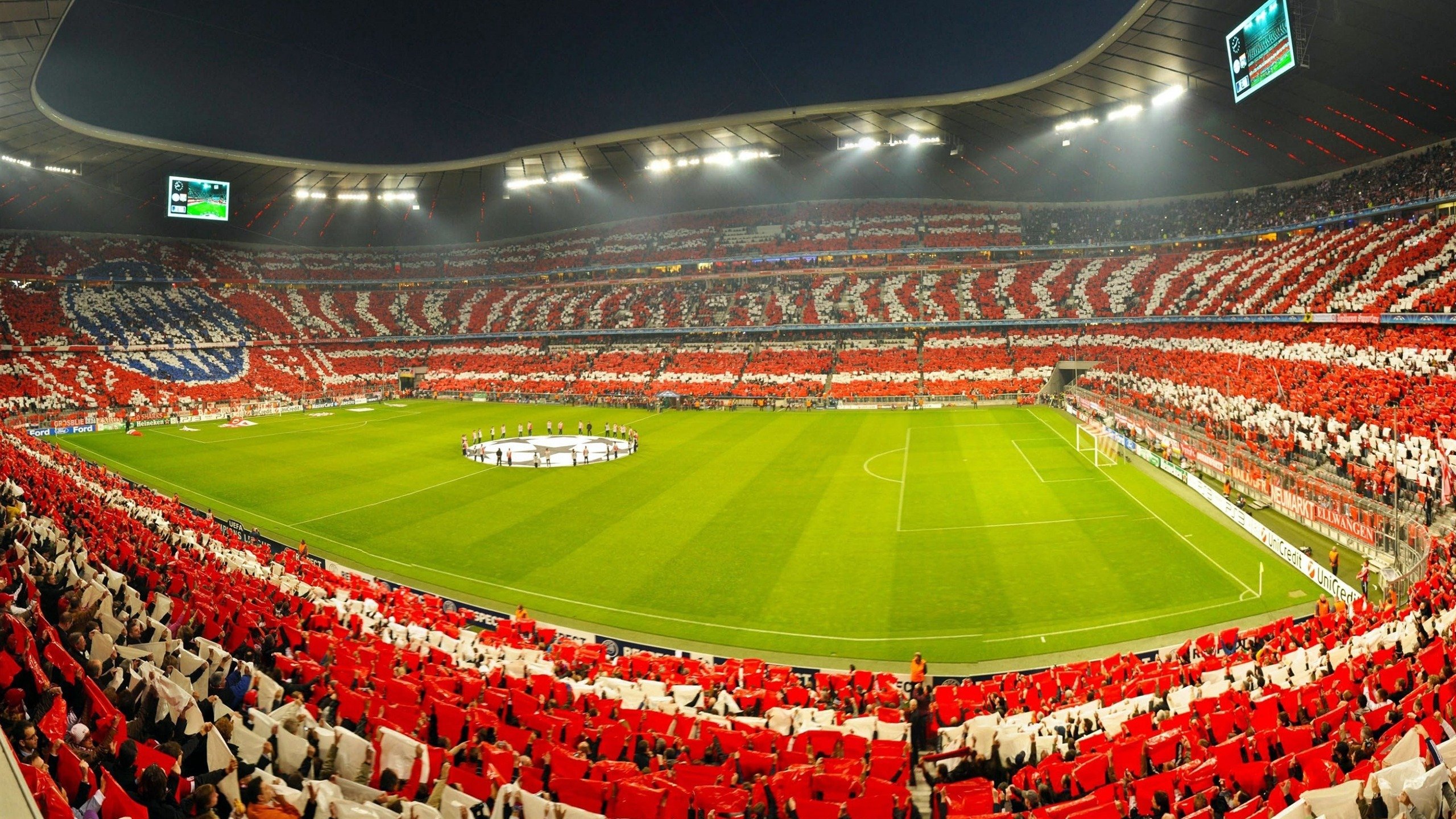 蒂姆回归赛场，战术调整首场状态亮眼，公牛观众沸腾！